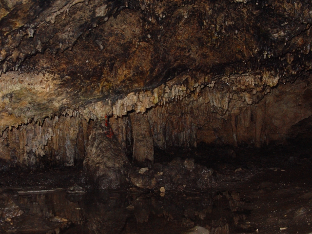 Canneloni Stalagtiten