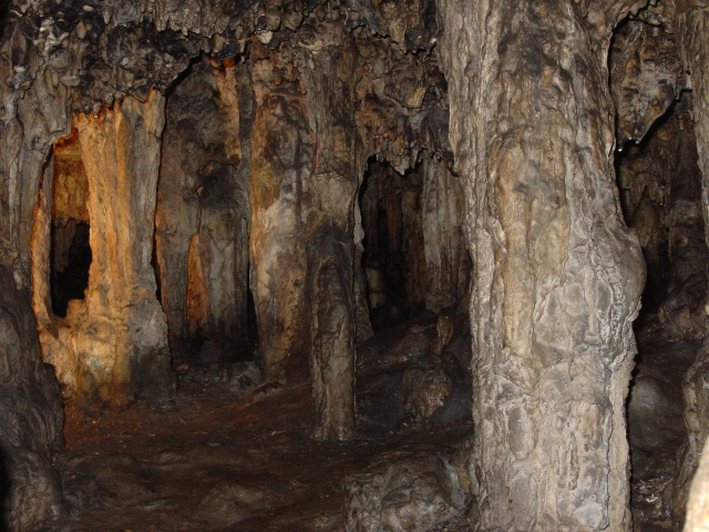 Stalagnaten Wald