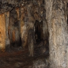 Stalagnaten Wald