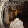 Stalagnaten Wald