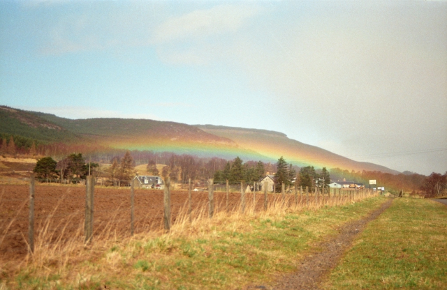 Regenbogen