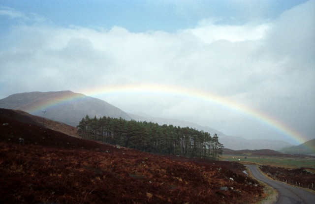Regenbogen