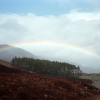 Regenbogen