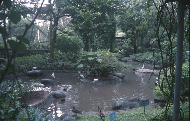 Arboretum