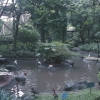 Arboretum